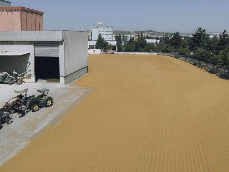 Agronegócio impulsiona comércio exterior de Sinop e amplia peso do município no Nortão Vista aérea de uma unidade de armazenamento de grãos, com tratores estacionados ao lado dos silos.